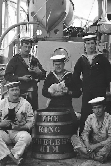 Photo of group of sailors posed on deck with cats