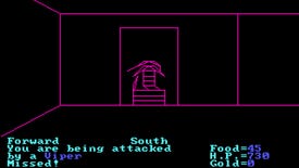 Being attacked by a viper in a dungeon - a geometric collection of pink lines that kind of look like a big snake - in Akalabeth: World Of Doom, an 1979 RPG