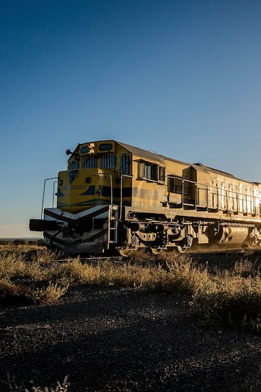 The train moving through the brush at sunrise with a clear sky above.