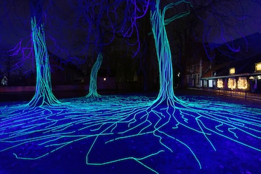 green neon lights wind around trees illuminated blue in the dark night