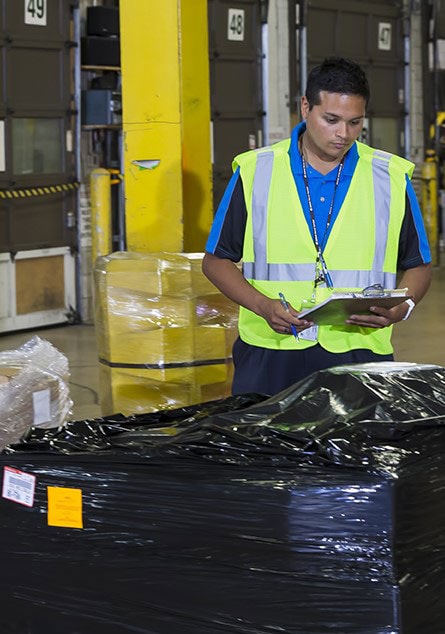 Customs officer inspecting packages