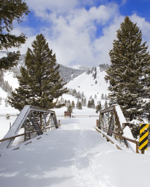 Bridge covered in snow