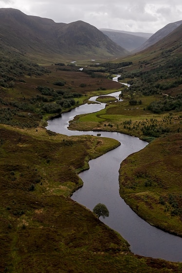 Overlooking the view on the Alladale Reserve, Sutherland Northern Scotland, for The MM9964 Rewilding story