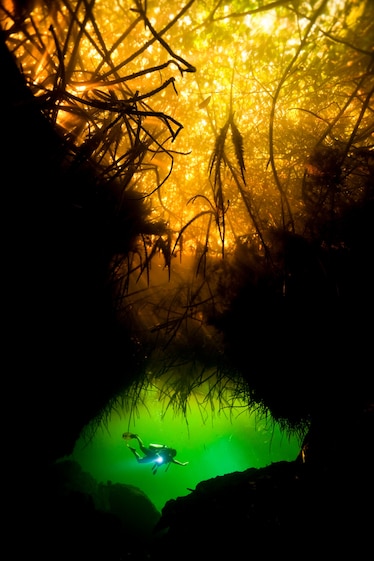 Picture of a scuba diver in a sinkhole with a flashlight