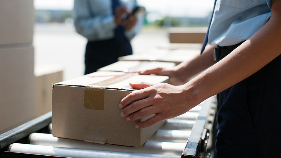 Customs officer with package