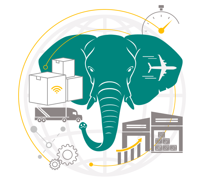 elephant in supply chain